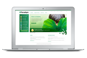 After establishing the Paradigm brand identitiy we reworked their existing website.